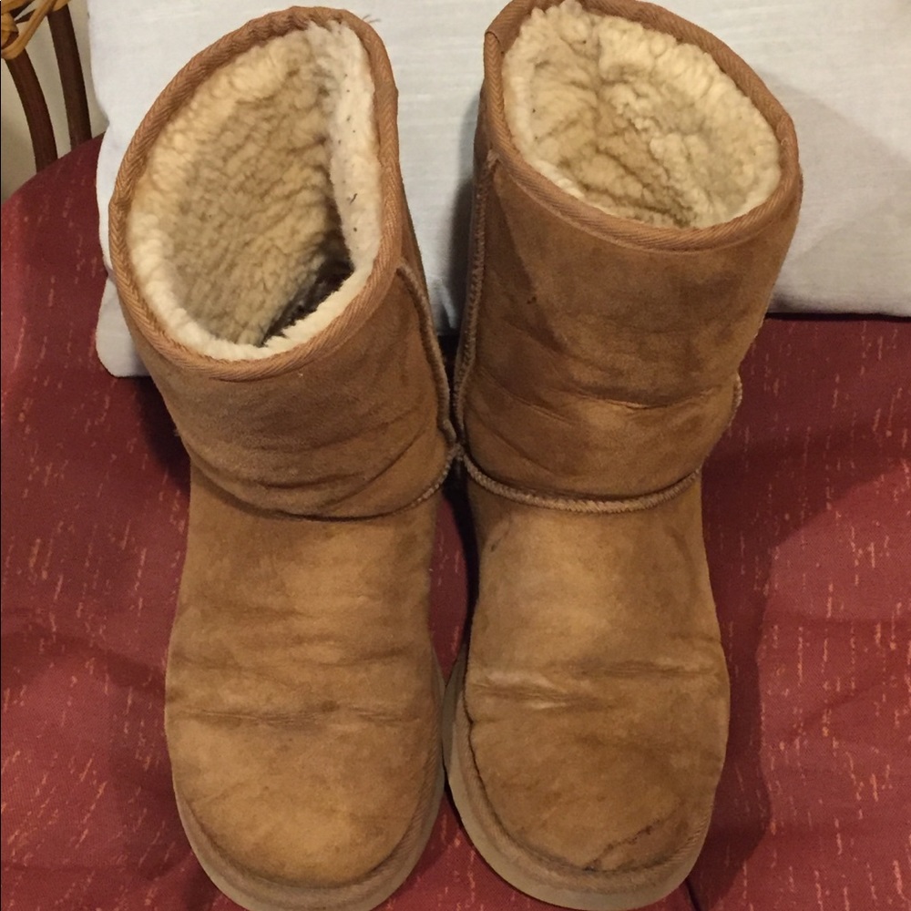 Short chestnut uggs